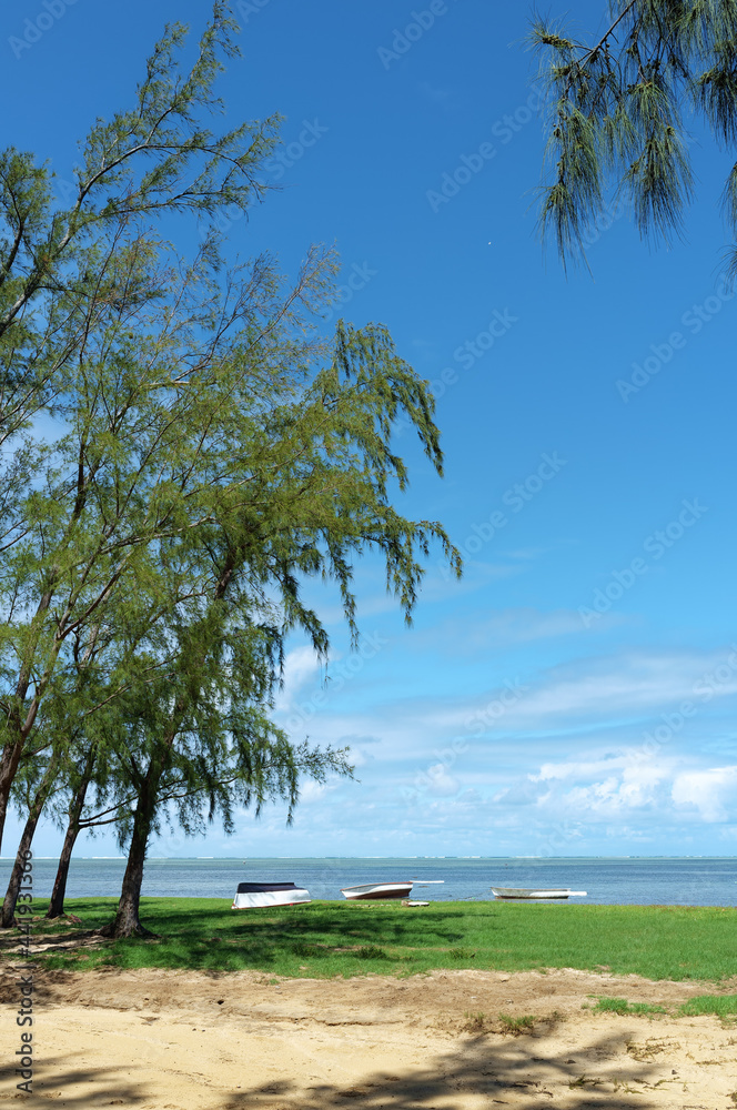 Bäume am einsamen Strand Mauritius