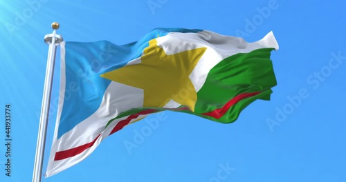 Roraima state flag, Brazil. Loop