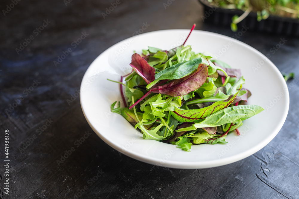 fresh green salad mix leaves in a plate on the table healthy food meal snack copy space food background rustic. top view keto or paleo diet veggie vegan or vegetarian food fresh green salad mix leaves in a plate on the table healthy food meal snack copy space food background rustic. top view keto or paleo diet veggie vegan or vegetarian food