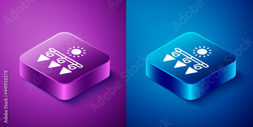Isometric Drying grapes icon isolated on blue and purple background. Dried grapes. Square button. Vector