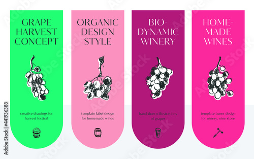Template label design for homemade wines, grape harvest concept, viticulture banner. Vector winemaking icons. House-wine badges. Enology sign. Grape bunch, grapevine branch. Black ink illustrations.