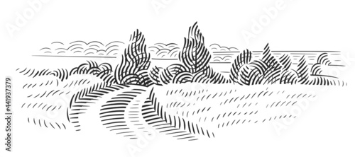 Road in field sketch. Farmland line illustration, natural landscape. Vector, isolated.	
