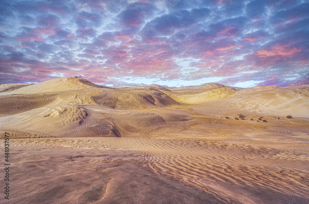 Naklejka premium The Lancelin Sand Dunes in Western Australia.