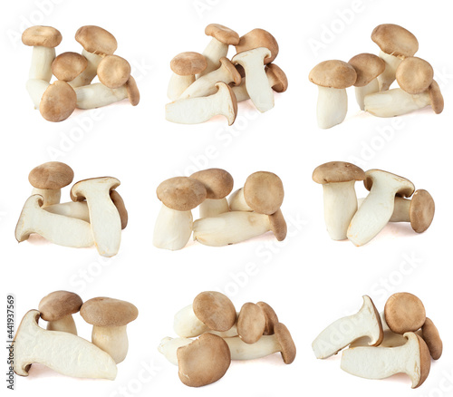 Set of royal oyster mushrooms or eringi mushrooms isolated on a white background.