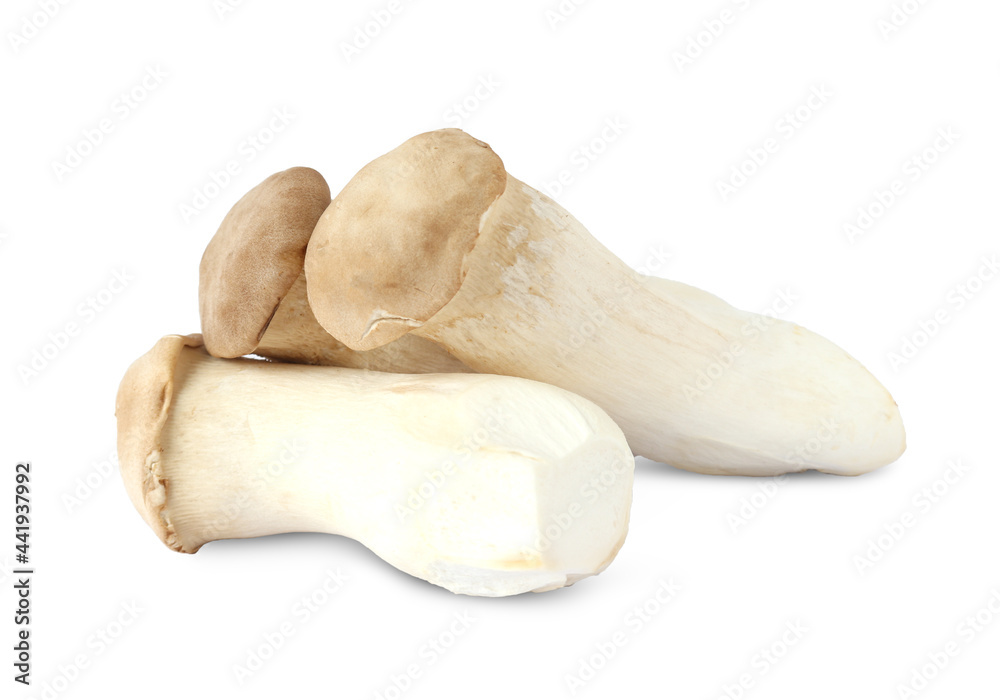 King Oyster mushroom on white background. King Oyster mushroom on white background.