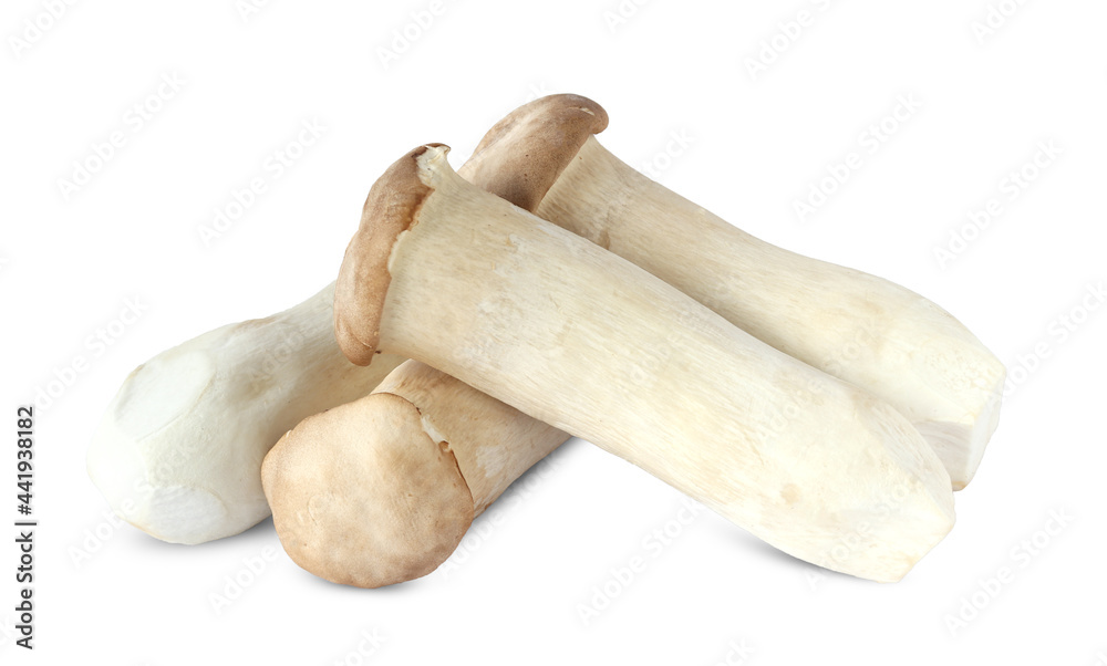 King Oyster mushroom on white background. King Oyster mushroom on white background.