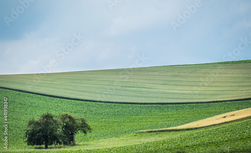 Ackerbau in hügelliger Landschaft © focus finder
