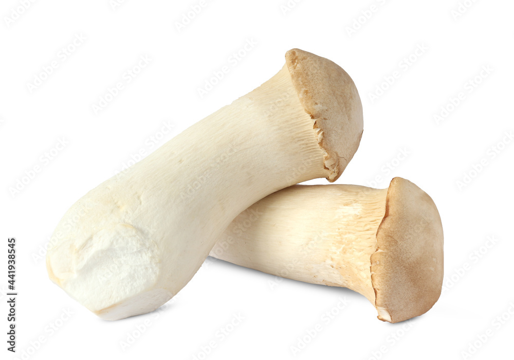 King Oyster mushroom on white background. King Oyster mushroom on white background.