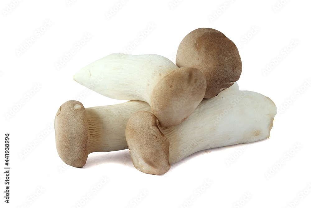 King Oyster mushroom on white background. King Oyster mushroom on white background.