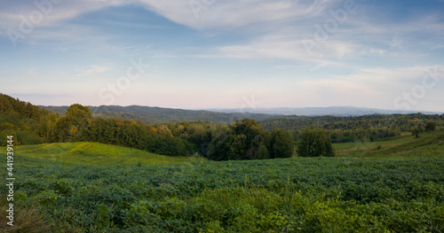 Hilly landscape with meadows and deciduous forests at dusk, countryside panorama on slopes of mountain Vučijak