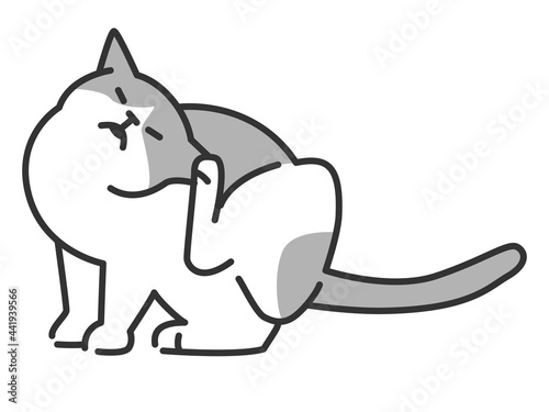 耳がかゆい猫