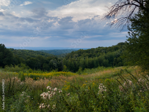 Hilly landscape with meadows and deciduous forests at dusk, countryside panorama on slopes of mountain Vučijak