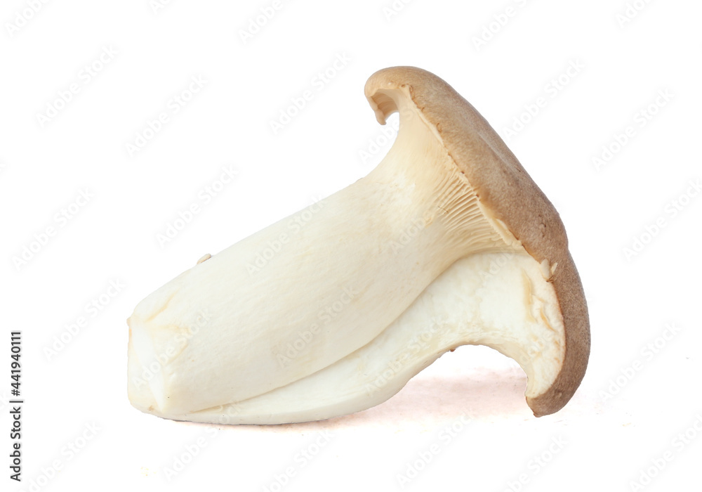 King Oyster mushroom on white background.