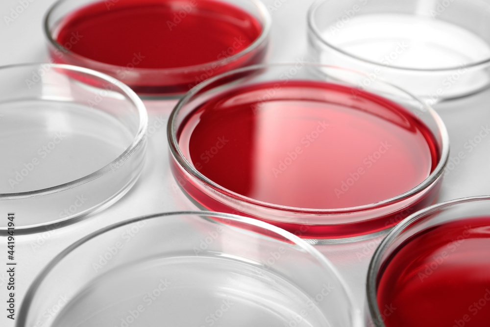 Petri dishes with red liquid near empty ones on white background, closeup Petri dishes with red liquid near empty ones on white background, closeup