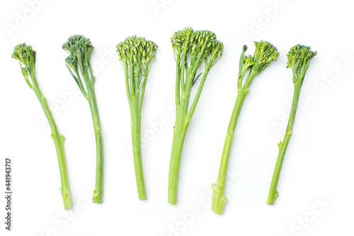 Raw broccolini at the row on white background photo