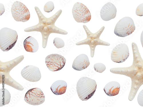 Seamless pattern of starfish and shells on a white background