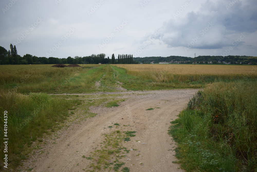 Intersection sur un chemin de campagne Intersection sur un chemin de campagne