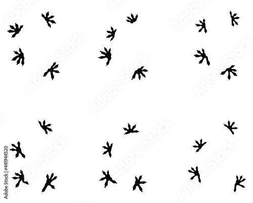 Black footprints of lizard on a white background