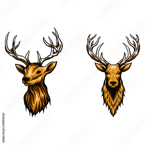 deer head vector illustration