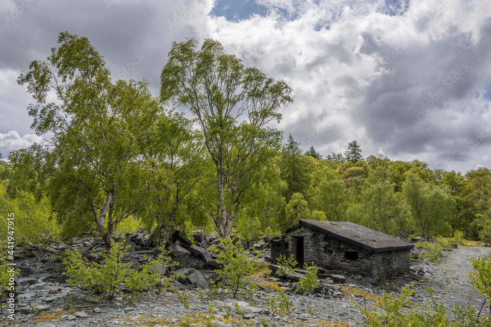 Abandoned stone hut in the Lake District 2058 Abandoned stone hut in the Lake District 2058