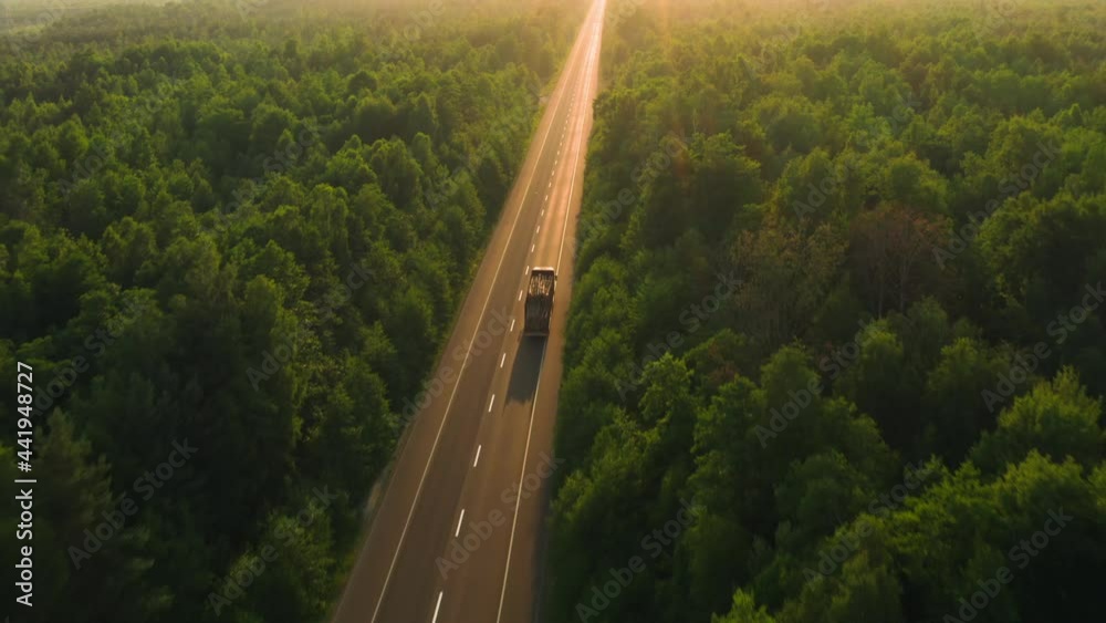 Road transport truck industry forest nature highway car delivery