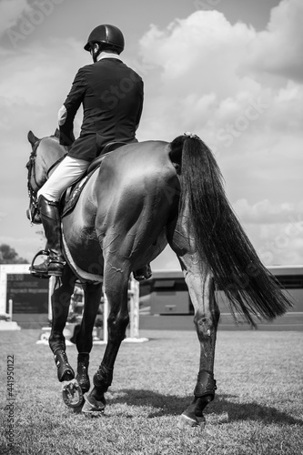 Equestrian Sports photo themed: Horse jumping, Show Jumping, Horse riding competition 