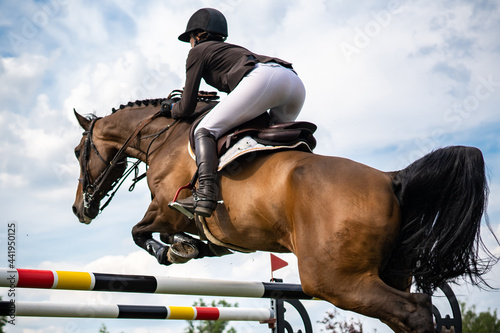 Equestrian Sports photo themed: Woman Jockey, Horse jumping, Show Jumping, Horse riding.  © Pratiwi