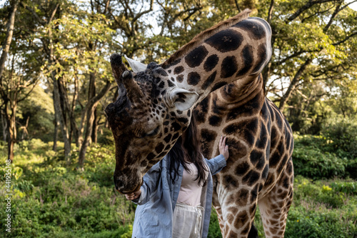 Canvas Print feeding giraffes from the hands of those who came from the forest