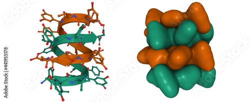 Antibiotic feglymycin P64 crystal form, 3D cartoon and Gaussian surface models, based on PDB 1w7r, white background photo