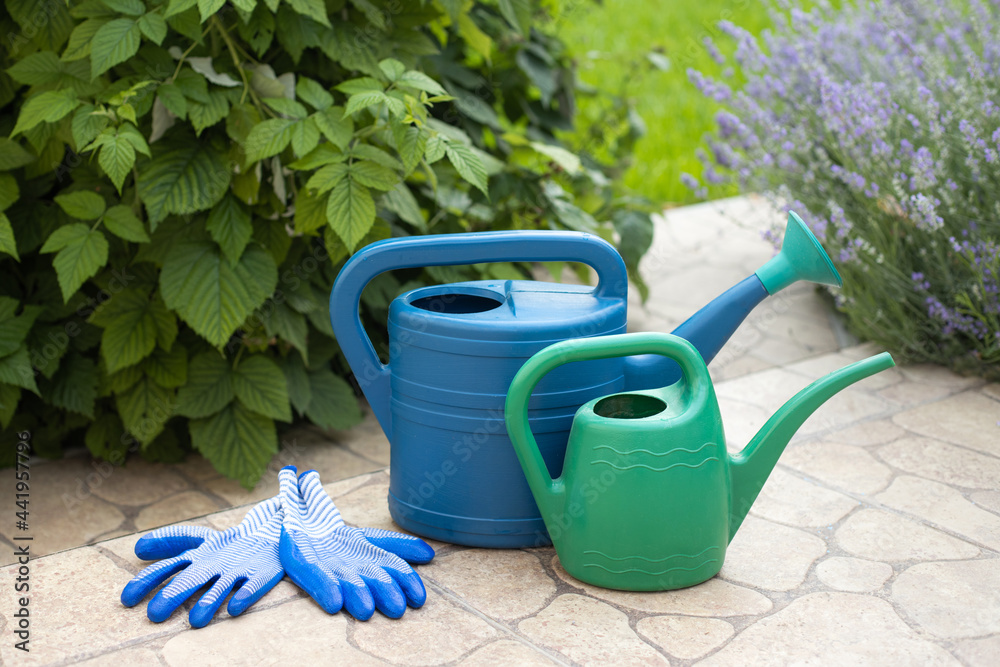 Gardener's set with watering can and gloves for gardening Gardener's set with watering can and gloves for gardening