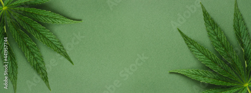 Banner with two cannabis leaves on green background. photo