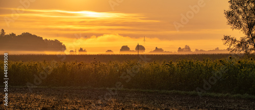 Beautiful sunset over the agricultural fields