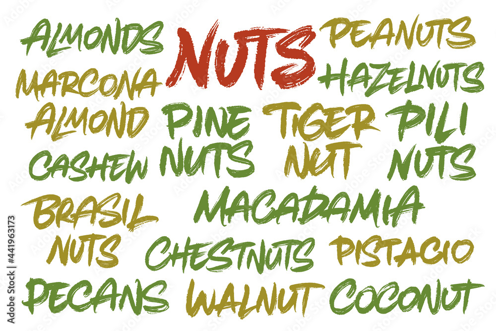 Nuts vector lettering Nuts vector lettering