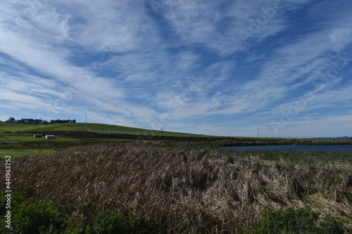 field and sky