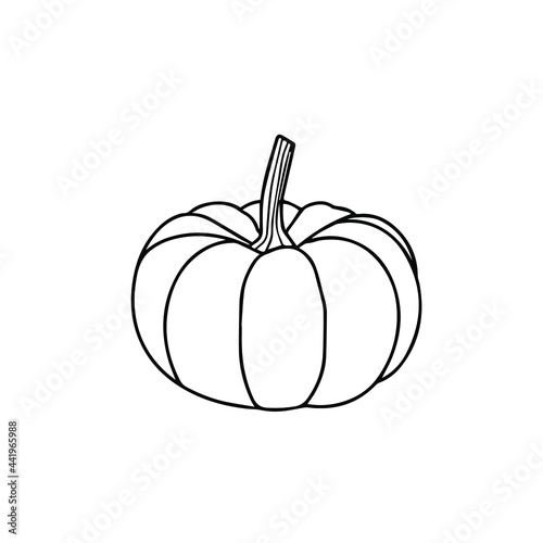 Doodle vector hand drawn pumpkin, Halloween doodle icon. Harvest day, nutrition, vegetable, all saint day, healthy, agriculture, celebration. Typography and digital use.