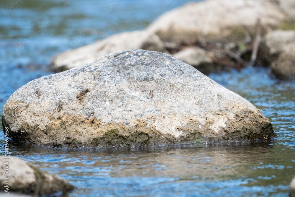 Close-up white rock in the river.Blurred background Close-up white rock in the river.Blurred background