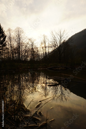 Spiegelung im Wasser