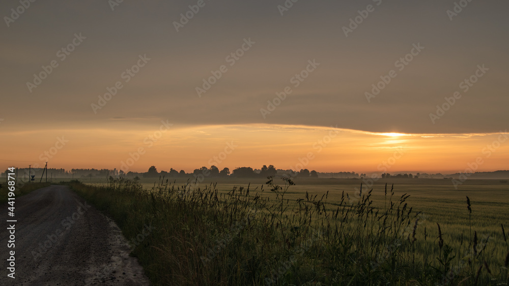 Go to my open items.Summer sunrise. The road and the meadow at sunrise. Morning mist. Go to my open items.Summer sunrise. The road and the meadow at sunrise. Morning mist.
