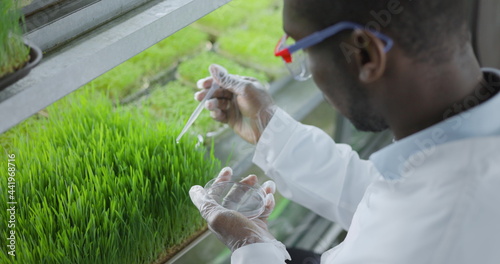 scientist makes analysis of plants.