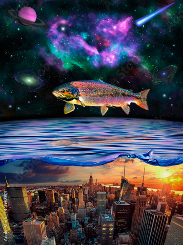 Fototapeta Naklejka Na Ścianę i Meble -  fish in space
