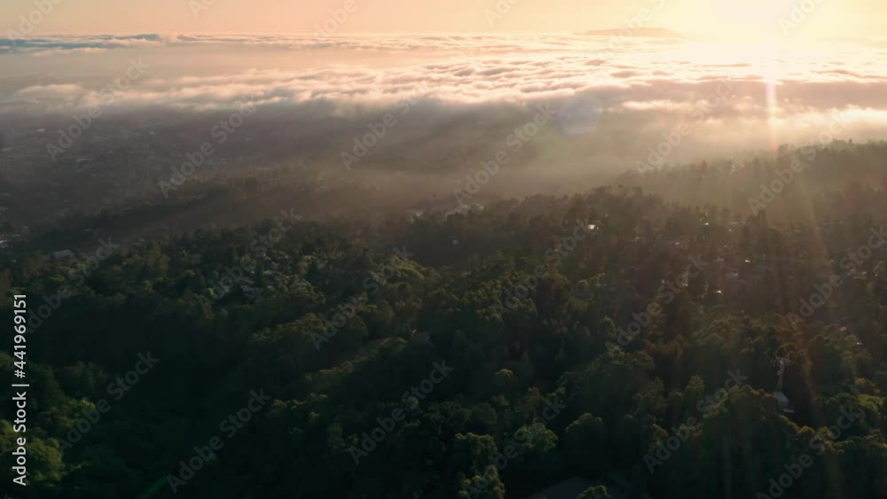 Aerial: Flying over the Oakland hills covered in redwoods at sunset. California, USA Aerial: Flying over the Oakland hills covered in redwoods at sunset. California, USA