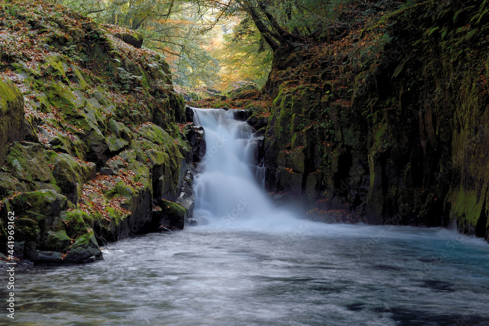 Fototapeta premium 秋の菊池渓谷