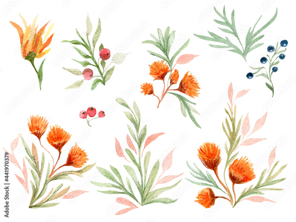 Autumn watercolor plant elements. Template for decorating designs and illustrations.