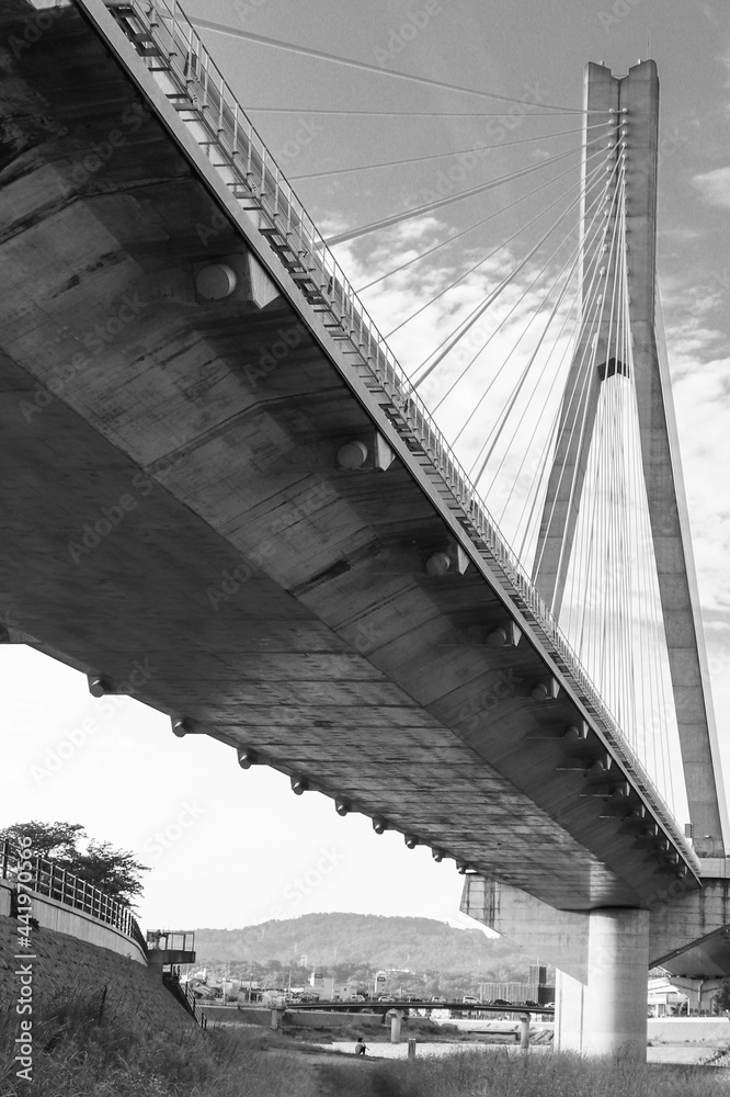 Fototapeta premium bridge in the fog