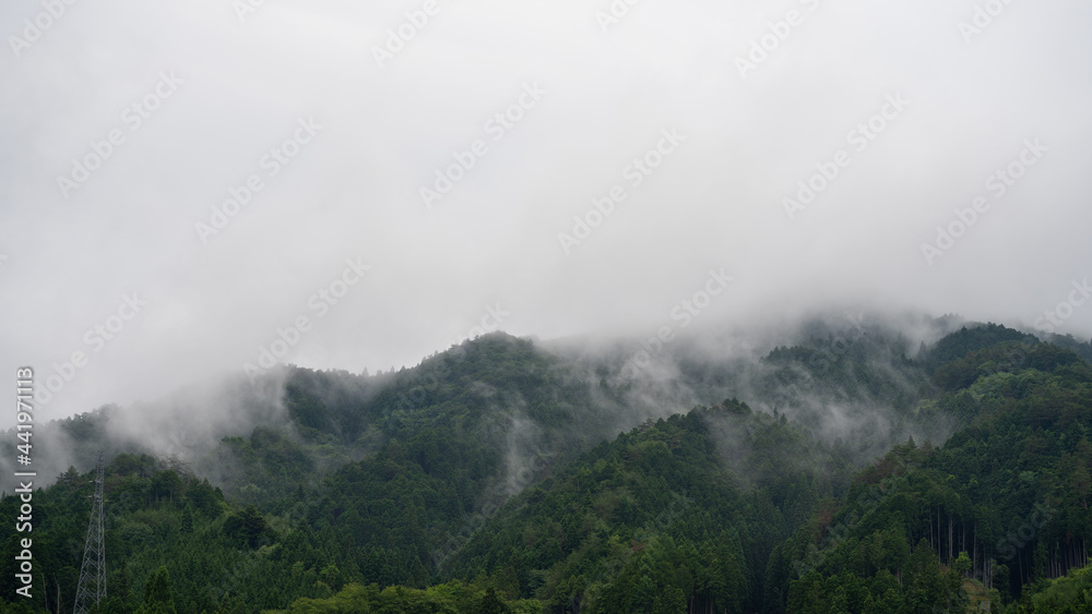 濃霧の山。日本の田舎の自然風景。