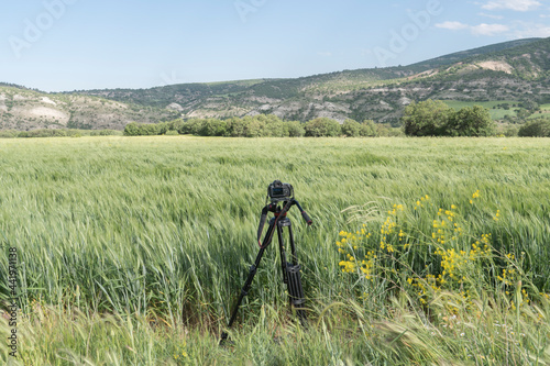 camera on tripod in crop field