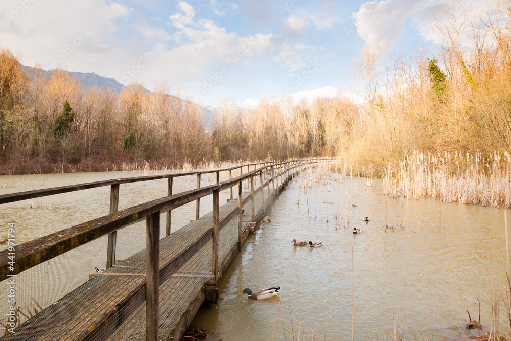 Old wood footbridge on lagoon, rural landscape Old wood footbridge on lagoon, rural landscape