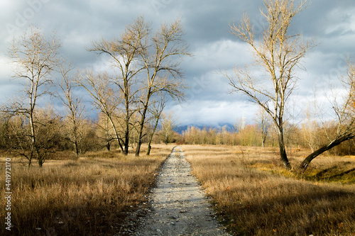 Rural landscape, dirt path through countryside.