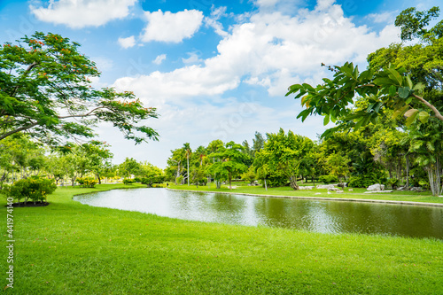 Scenic view of the park in the center of the big city in the summer. With a lagoon in the middle and green trees. Green public park with pond meadow grass field blue sky for leisure landscape