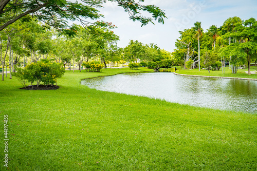 Fototapeta Naklejka Na Ścianę i Meble -  Scenic view of the park in the center of the big city in the summer. With a lagoon in the middle and green trees. Green public park with pond meadow grass field blue sky for leisure landscape